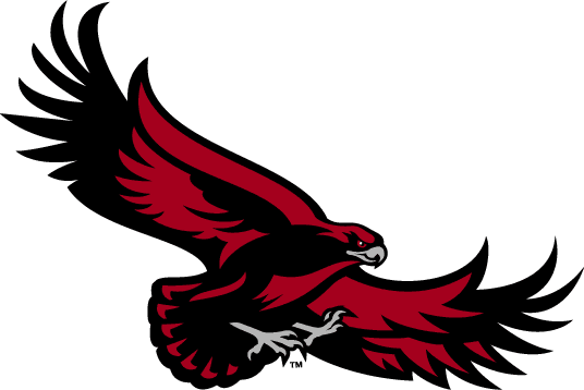 St. Joseph's Hawks 2001-Pres Alternate Logo t shirts iron on transfers v4